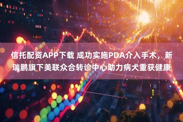 信托配资APP下载 成功实施PDA介入手术，新瑞鹏旗下美联众合转诊中心助力病犬重获健康