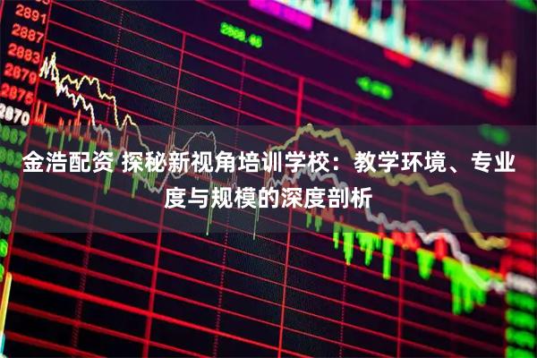 金浩配资 探秘新视角培训学校：教学环境、专业度与规模的深度剖析